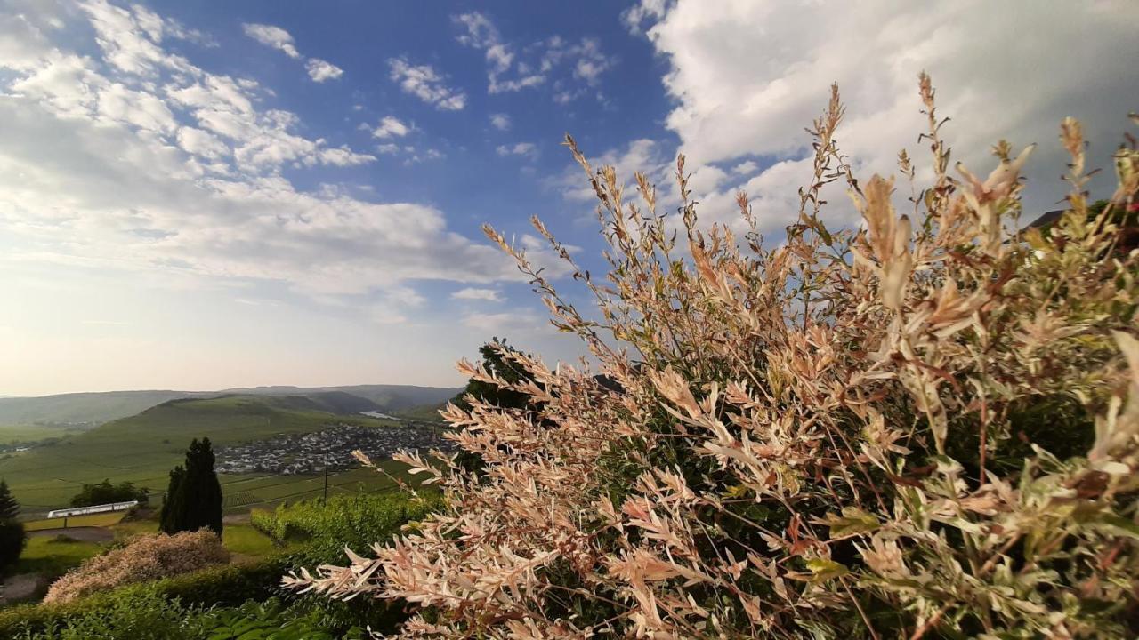 Casa La Vino Leilighet Leiwen Eksteriør bilde